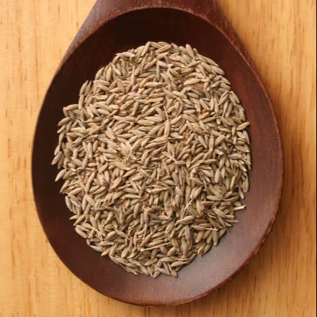 High Demand RAUTIMPEX International Whole Dried Brown Cumin Seeds Rich Aroma Strong Spices Content 100% Natural Indian Spice