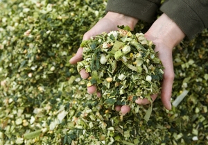 Ensilaje de maíz embalado de alta digestibilidad para granjas lecheras comerciales Alimento eficiente para animales de ganado para producción de maíz y heno - Product Image 3