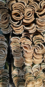 Split <b>Bamboo</b> High Quality From Vietnam/Split <b>Bamboo</b> <b>Raw</b> <b>Materials</b> Green/Yellow Good Price - Product Image 6