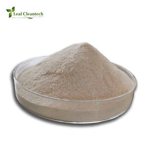 เอนไซม์อาหารคุณภาพสูงสำหรับเตรียมเอนไซม์ในรูปแบบผง - Product Image 1