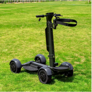 Carrito de Golf Plegable con Ruedas de Plástico Industrial de 2000W y 48V, Certificado por la UE, con 3 Años de Garantía, Opciones OEM y DIY, ¡ENTREGA RÁPIDA! - Product Image 2