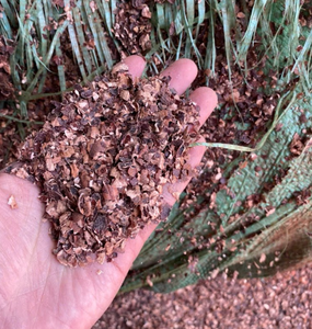 Coques de noix de cajou rouges propres pour additifs alimentaires pour tous - Product Image 3