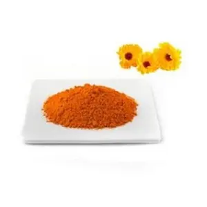 Ekstraksi pelarut kualitas baik 25kg ekstrak makanan kesehatan bunga buatan perawatan kesehatan bubuk ekstrak tanaman Marigold