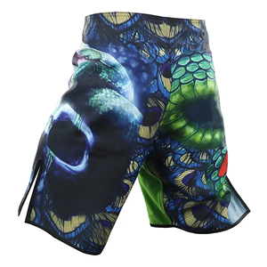 2025 Unisex Lightweight Sportswear Breathable Dragon MMA Shorts for Boxing and Other Martial <b>Arts</b> OEM Logo Printing - Product Image 2