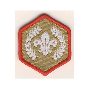 Parche de Chevron Canadiense con Insignia de Arce, Hilo Dorado, Parche de Fieltro Rojo para Blazer, Master Corporal, Hoja de Arce con Más de 2 Chevron - Product Image 6