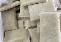 Pâte de corossol congelée Ingrédient de fruits exotiques pour Gelato Sorbet Smoothies et boulangerie Pâtisserie Production Wholesale Vietnam