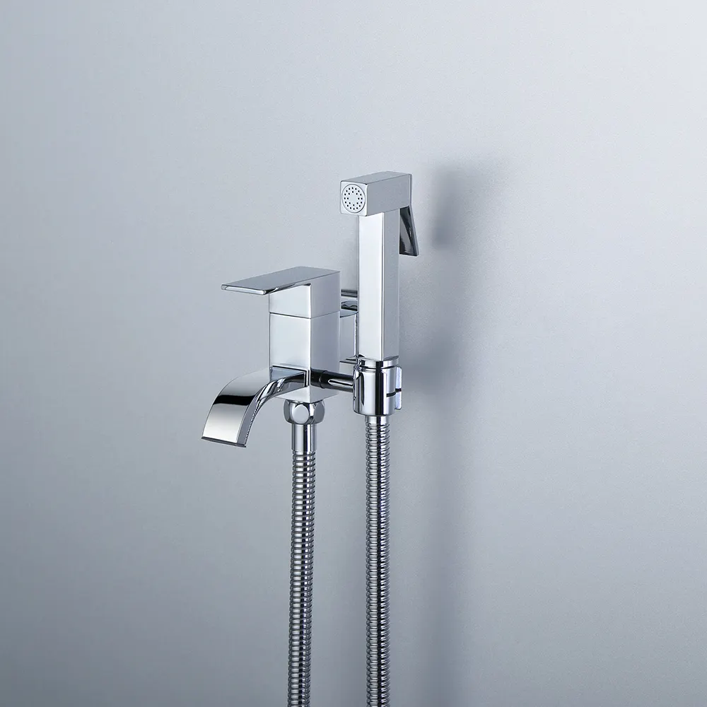 Modernes Design Edelstahl Bidet-Handspritz-Set tragbarer Shattaf-Toilettensprühdohr für Hotel-Wäsche