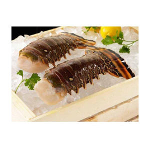 Queues de homard surgelées à prix réduit, offertes pour les commandes en grande quantité - Product Image 1