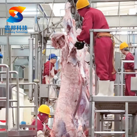 Équipement automatique de traitement du bétail pour abattoir de bovins, couteau de boucherie