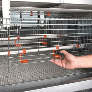 Gabbia per Allevamento Polli con Capacità di 90 Galline <span class=keywords><strong>e</strong></span> 10 Galli per Allevamenti Intensivi di Pollame da Riproduzione - Product Image 6