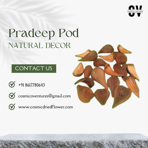 Pot de pot-pourri Pradeep professionnel de qualité supérieure, style moderne vintage, NOUVELLE ARRIVÉE, capsules décoratives naturelles pour mariage, maison, bureau 2026 - Product Image 2