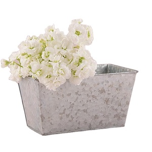 Maceta rectangular de estaño galvanizado Maceta y decoración del hogar Plantas de metal galvanizado no incluidas - Product Image 1