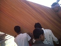 Dalles et carreaux en pierre naturelle de grès arc-en-ciel pour revêtement mural intérieur et extérieur, aménagement paysager, qualité export