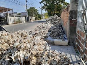 Prix abordable du fournisseur de coquille d'huître du Vietnam, grandes quantités, OEM disponible - Product Image 2