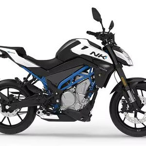 NOUVEAU AUTHENTIQUE CF MOTO 300NK Naked Sport Bike 292cc Moteur monocylindre Motorsport 300 NK Racing - Product Image 1