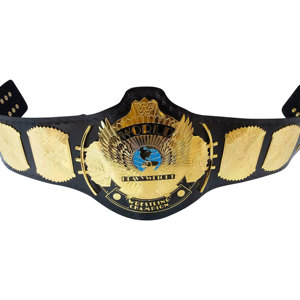 Cinturones de campeonato de lucha libre Trofeos Medallas y premios el símbolo definitivo de Victoria y excelencia Cinturones de Campeonato - Product Image 1
