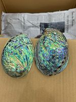 Tailles multiples pour polir la coquille d'ormeau pour la sauge, Offres Spéciales belle coquille d'ormeau brut polonais/naturel intact