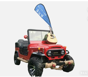 ยูทิลิตี้-4x4 บิ๊กวีลโรด 2+2 ไฮบริด-คลาสสิค รถชมวิว - Product Image 1