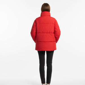 Veste matelassée pour femme, hiver, chaude, légère, vêtement d'extérieur matelassé, confortable, douce, coupe-vent, résistante à l'eau, à capuche, en coton - Product Image 4