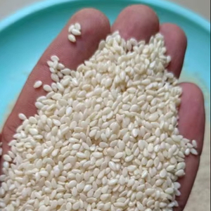 インドの農産物から輸出された高純度のハレと天然白ゴマのバルク - Product Image 2