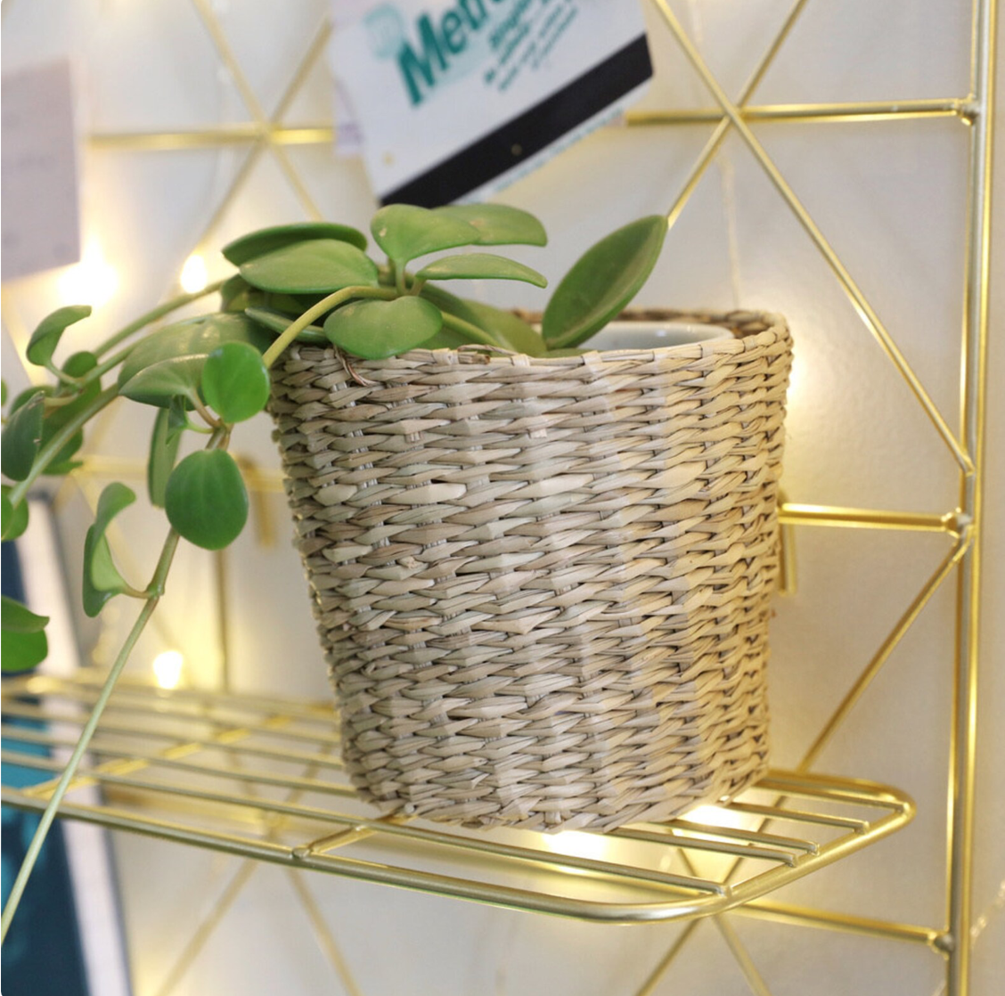 สีธรรมชาติ