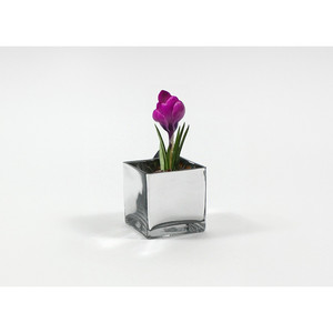VCB0005ASV - แจกันแก้วทรงลูกบาศก์สีเงินเป่าด้วยมือ / เชิงเทียน - 5 ชิ้น - Product Image 6