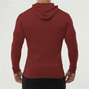 Vente en gros de sweatshirts à capuche personnalisés de haute qualité avec logo 95% coton 5% polyester sweatshirt à capuche à manches longues pour hommes - Product Image 2