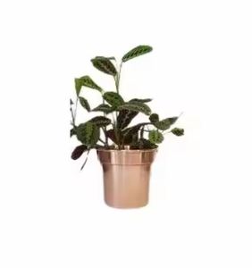 Macetas de decoración para bodas y eventos, soportes de Color negro de hierro sólido, Juego de 2 macetas y macetas de flores hechas a mano de Color cobre Vintage - Product Image 5