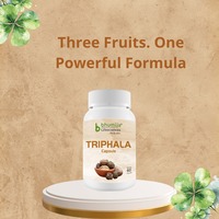 Gmp Gecertificeerde Triphala Capsules Ayurvedische Formule | Bulkvoorraad En Aangepaste Branding | Ayurvedisch Product