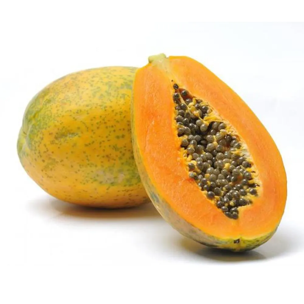 premium export standard fresh papaya