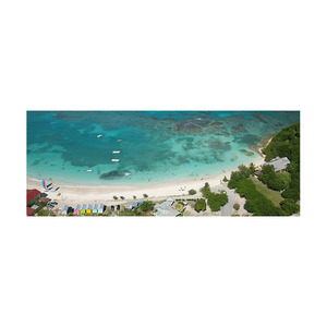 Los precios competitivos disponibles para la venta a granel para todos sus proyectos Beech Log es perfecto para la elaboración de muebles de alta gama - Product Image 6