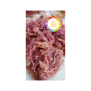 VENTE EN GROS DIVERS TYPES D'ALGUES DE COTTONII SÉCHÉES WILDCRAFT MOUSSE DE MER OCEAN FOURNISSEUR COLLECTIF MOUSSE DE MER DU VIETNAM - Product Image 3