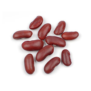 Venta al por mayor de frijol rojo, bajo precio, suministro a granel, calidad de exportación - Product Image 5