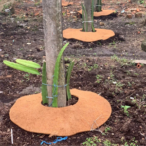 Couverture de paillis de noix de coco biodégradable naturel Anneaux d'arbre de coco/Anneau de paillis biodégradable de lutte contre les mauvaises herbes de coco pour l'agriculture - Product Image 4