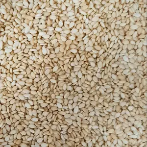 Bán hàng nóng hạt mè hạt mè nhập khẩu giá Hạt Mè vàng trắng vàng đỏ Chất lượng cao cấp