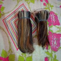 Extensions de cheveux de queue de cheval 100% artisanales, bio, de haute qualité, vrais poils naturels, couleurs naturelles, certifiées vétérinaires