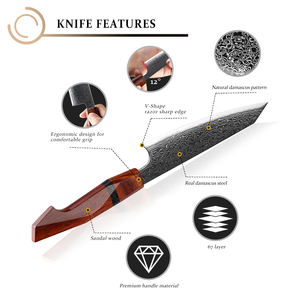 Vente en gros Couteau de service personnalisé de haute qualité Damas OEM ODM Couteau d'office de cuisine japonais en acier à haute teneur en carbone - Product Image 2