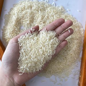 Mejor Precio para Importadores Globales: Arroz Arborio Orgánico de Grano Largo Blanco Duro para Exportación - Product Image 6