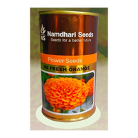 F1 HYB Marigold NS 1503 Bunga Jeruk Segar