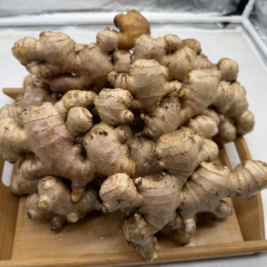 ขิงสดออร์แกนิก |   ขิงธรรมชาติ (Zingiber Officinale) |   การส่งออกจำนวนมาก - Product Image 3