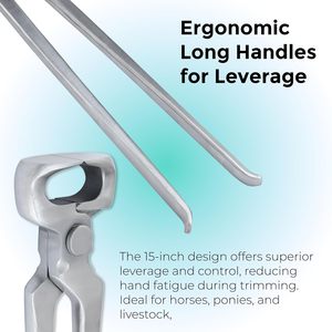 ที่ตัดกีบม้าสแตนเลสสำหรับสัตวแพทย์ สำหรับดูแลกีบม้า ทนทาน ใช้ในงานตัดแต่งกีบม้า มีขนาดและคุณภาพตามสั่ง - Product Image 6
