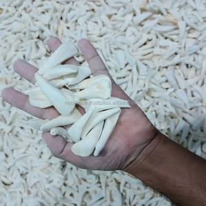 Dientes de hueso de búfalo pulidos de tamaño mixto y forma personalizada para la fabricación de joyas - Dientes blancos de estilo animal y náutico - Product Image 1