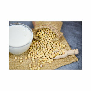 Mejor exportador de harina de soja fresca sin OGM Proveedor de harina de pescado animal y procesamiento de proteína de soja texturizada - Product Image 6