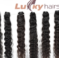 Extensions de cheveux naturels indiens Remy vierges ondulés, noirs, doux et soyeux, double trame, 100g, pour salon de coiffure