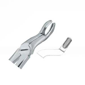 Pince à extraction dentaire Fig57 Produits avec logo personnalisé de qualité supérieure Instruments dentaires en acier inoxydable de haute qualité - Product Image 6