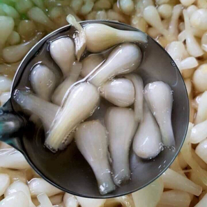Japanese Kakkyo Salted Scallion Sweet Sour in <b>Jar</b> - Product Image 1