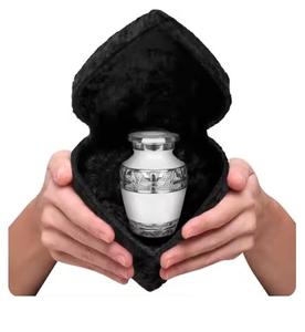 Pet <b>memorial</b> keepsake urns in metal, engraved mini urns for ashes of <b>dogs</b> and cats comes with velvet gift <b>box</b> - Product Image 1