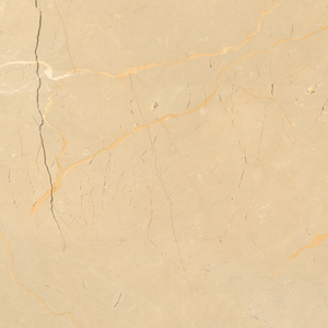 ซัพพลายเออร์อินเดีย กระเบื้องเซรามิค asia ราคาถูกที่สุด การผลิตกระเบื้องยกสูงในอินเดียเพื่อการพาณิชย์ - Product Image 2