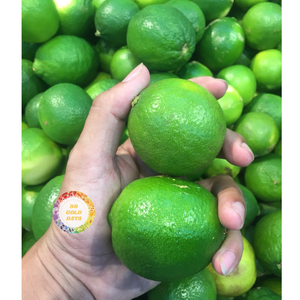 EXPORTATION EN VRAC CITRONS FRAIS VIETNAMIENS AGRUMES NATURELS QUALITÉ SUPÉRIEURE PRIX D'USINE Offre Spéciale PRODUIT - Product Image 1