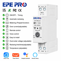 Disjoncteur intelligent WiFi portable 63A avec protection contre les fuites à la terre, compteur d'électricité sans fil, protection contre les surtensions